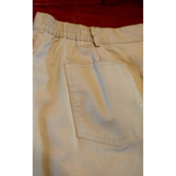 Ruby Rd. 5-Pocket Beige Tan Shorts Womens Flat Front Stretch Waist - Sz 18 NWT - Picture 6 of 8